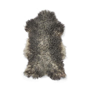 Peau de mouton gotlandaise | Laine courte bouclée | 90–100 cm