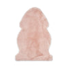 Couleur - Rose clair