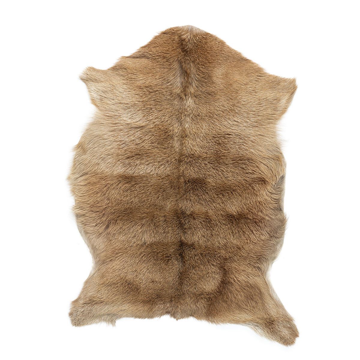 Premium Goat Skin | Short Wool