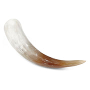 Corne de vache Watusi | Afrique du Sud