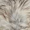 Couleur - Gris Naturel