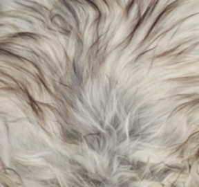 Banc Theo | Peau de mouton tibétaine | Pieds en chêne Gris Naturel
