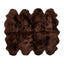 Color - Chocolate