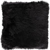 Couleur - Noir