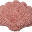 Color - Coral Rose