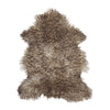 Couleur - Beige Gris