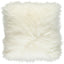 Color - Ivory