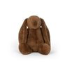 Couleur - Marron Teddy