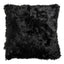 Color - Black