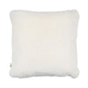 Couleur - Blanc