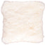 Color - Ivory