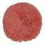 Color - Coral Lantana
