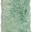 Color - Mint