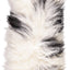 Color - White/Black/Mix