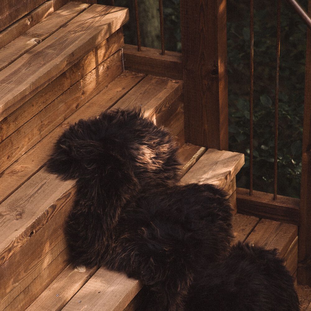 Tapis en peau de mouton mérinos | Laine longue | 160x60 cm Chocolat