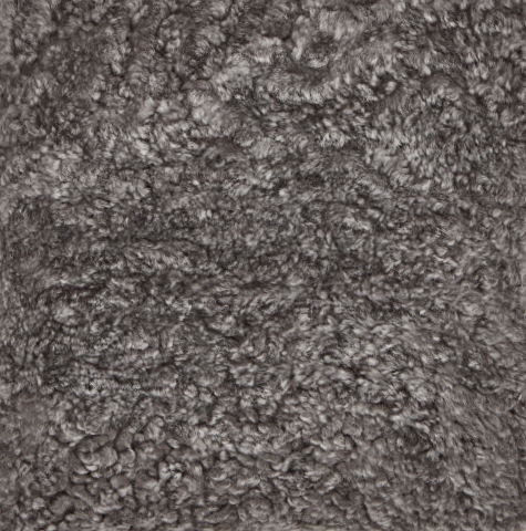 Short Wool Curly Sheepskin Shell Design Rug | 210x150 cm