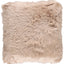 Color - Warm Sand