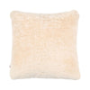 Couleur - Beige