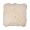 Couleur - Blanc