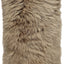 Color - Taupe
