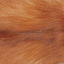 Color - Gold Fox/Beige