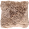 Couleur - Taupe