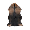 Couleur - Noir/Marron