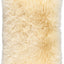 Color - Light Honey