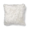 Couleur - Blanc