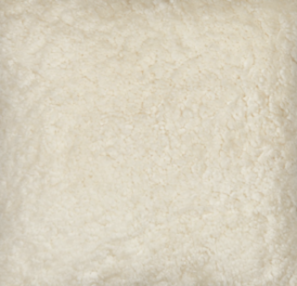 Short Wool Curly Sheepskin Shell Design Rug | 210x150 cm