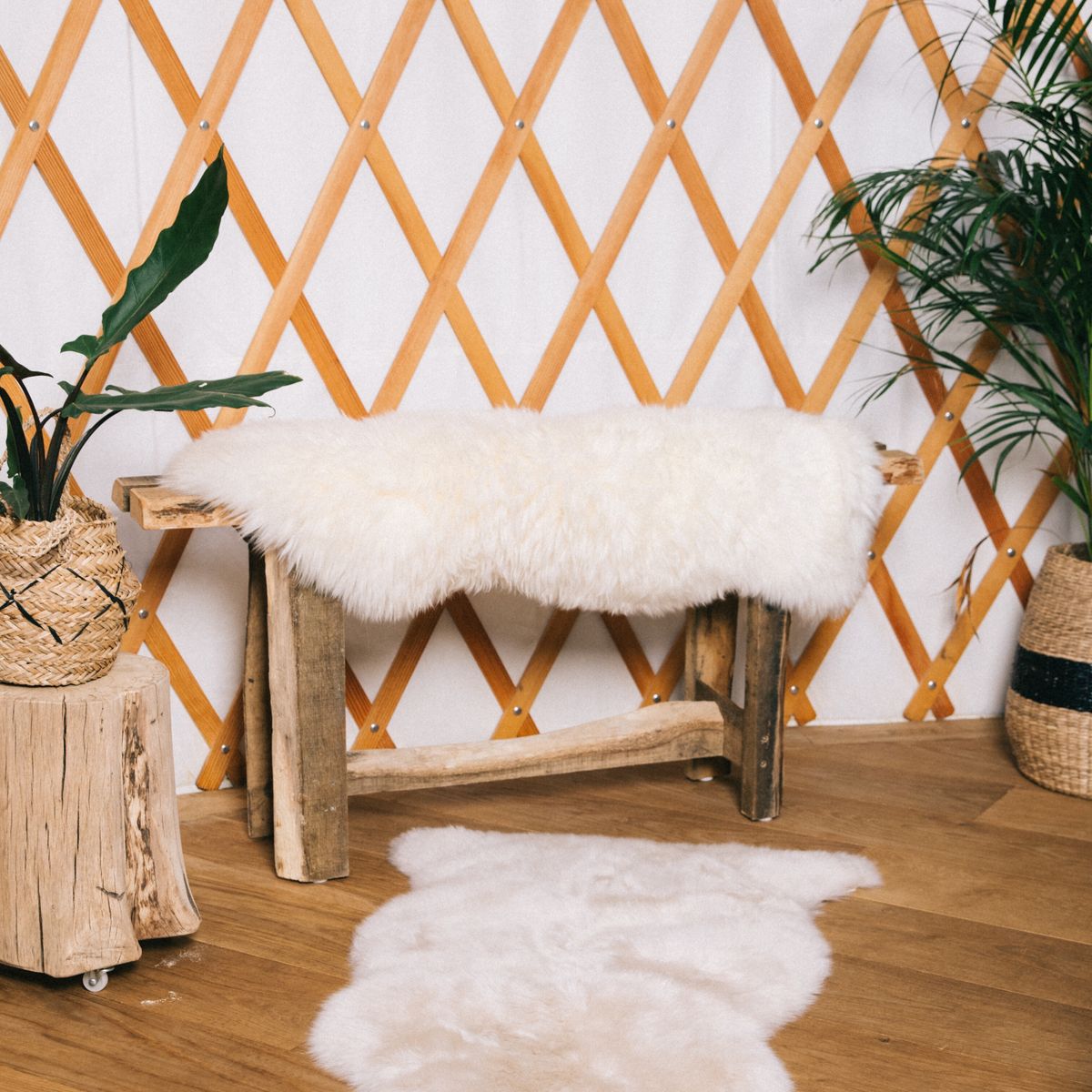 Peau de mouton de Nouvelle-Zélande à laine longue 100 cm Ivoire