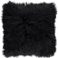 Color - Black