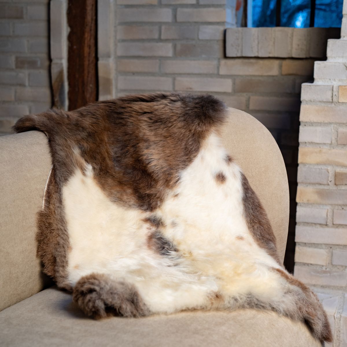 Peau de mouton de l’Himalaya | Laine courte | 95 cm Tacheté foncé