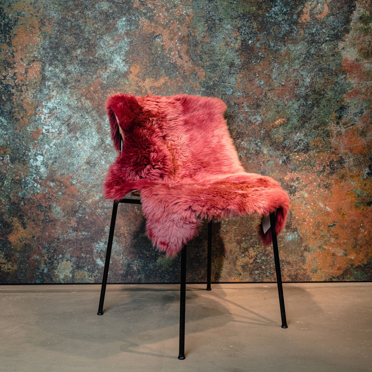 Tapis en peau de mouton mérinos | Laine longue | 90x60 cm 