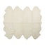 Color - Ivory