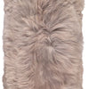 Couleur - Taupe