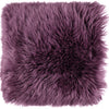 Couleur - Aubergine