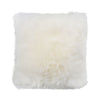 Couleur - Blanc