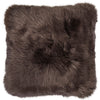 Couleur - Noyer