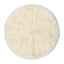 Color - Ivory