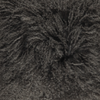 Couleur - Taupe