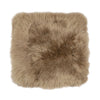 Couleur - Taupe