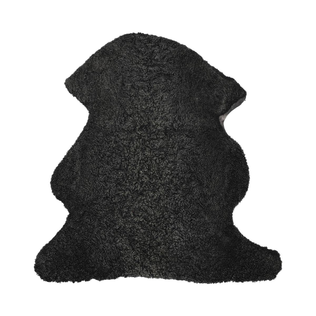 Peau de mouton jumbo | Nouvelle-Zélande | Qualité premium | Laine courte bouclée | 95 cm