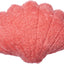 Color - Coral Peach
