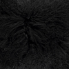 Couleur - Noir