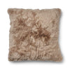 Couleur - Taupe