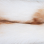 Color - Sun Glow Fox Light Brown