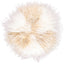 Color - Arctic Sunrise/Ivory