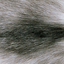 Color - Arctic/Marble Fox