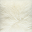 Color - Ivory